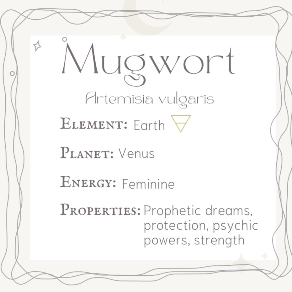 Black Sage(Mugwort) Smudge Stick| Prophetic Dreams and Protection
