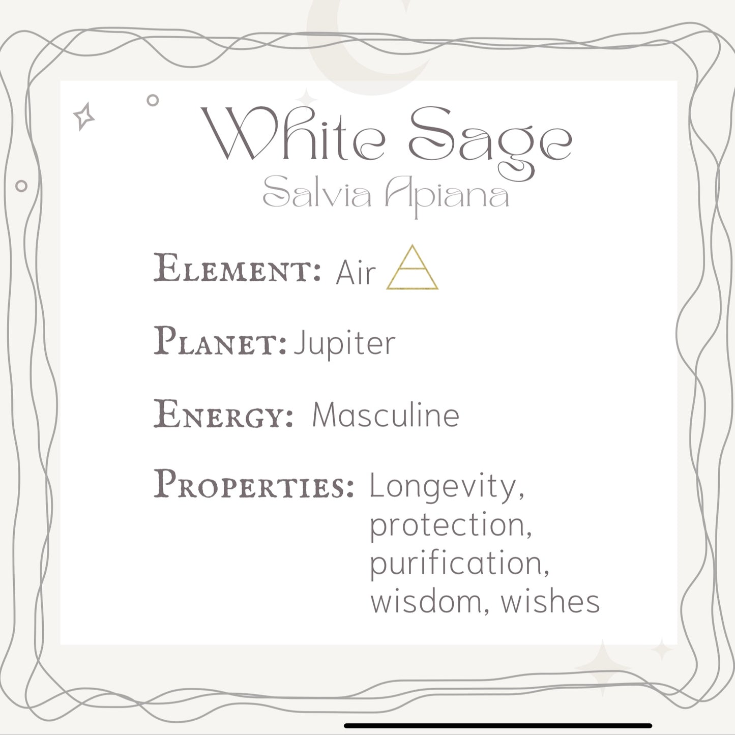 Organic White SageSmudge Stick| Cleansing and Protection