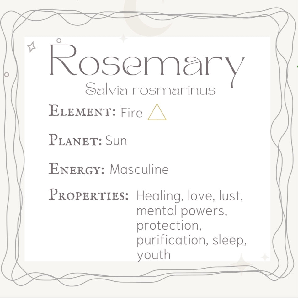 Rosemary Sage Smudge Stick| Cleansing and Clarity