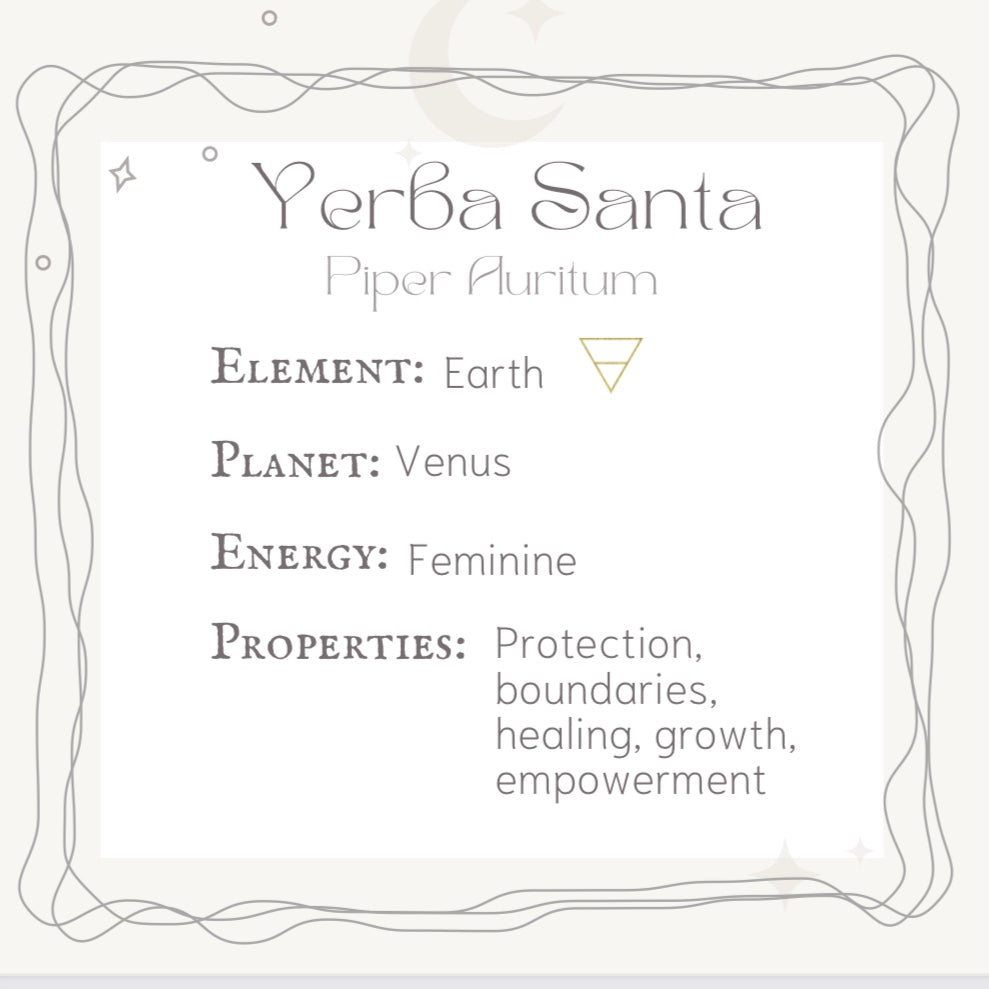 Yerba Santo Sage Smudge Sticks| Protection, Boundaries and Healing